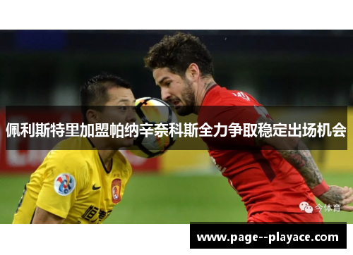 佩利斯特里加盟帕纳辛奈科斯全力争取稳定出场机会 佩利斯特里加盟帕纳辛奈科斯全力争取稳定出场机会